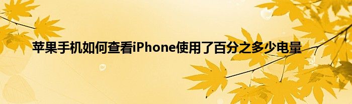 苹果手机如何查看iPhone使用了百分之多少电量