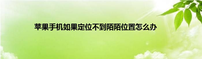 苹果手机如果定位不到陌陌位置怎么办