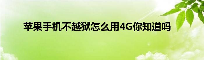 苹果手机不越狱怎么用4G你知道吗