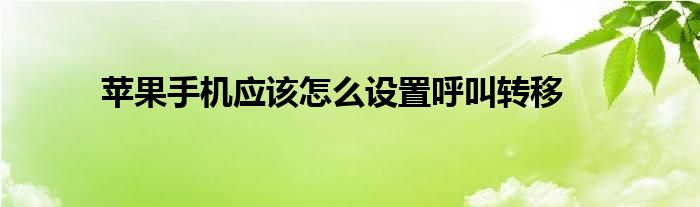 苹果手机应该怎么设置呼叫转移