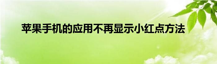 苹果手机的应用不再显示小红点方法