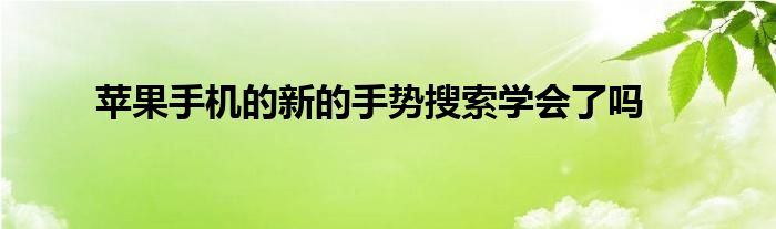 苹果手机的新的手势搜索学会了吗