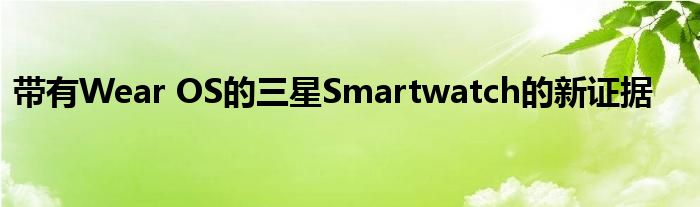 带有Wear OS的三星Smartwatch的新证据