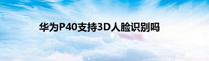 华为P40支持3D人脸识别吗