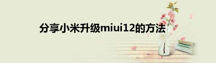 分享小米升级miui12的方法