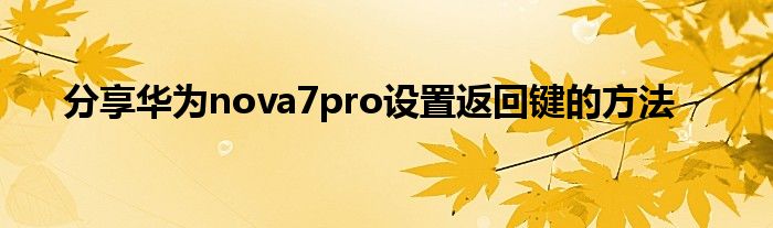 分享华为nova7pro设置返回键的方法