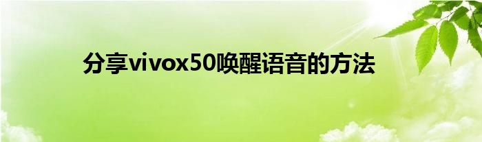 分享vivox50唤醒语音的方法