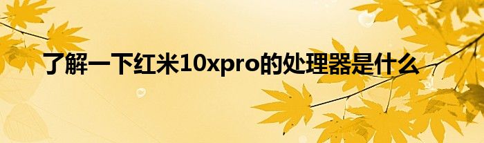 了解一下红米10xpro的处理器是什么