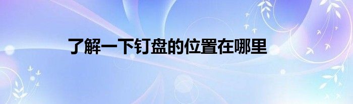 了解一下钉盘的位置在哪里