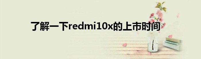 了解一下redmi10x的上市时间