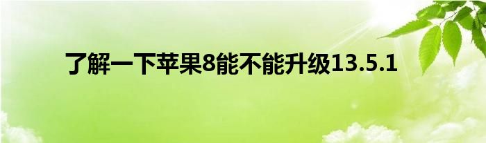 了解一下苹果8能不能升级13.5.1