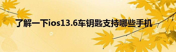 了解一下ios13.6车钥匙支持哪些手机