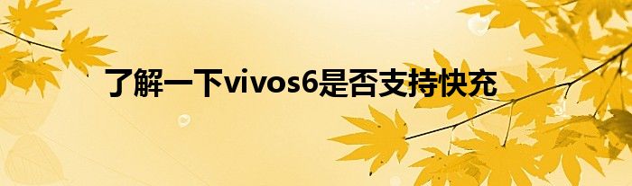 了解一下vivos6是否支持快充