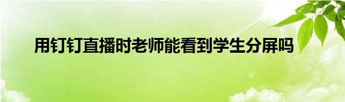 用钉钉直播时老师能看到学生分屏吗