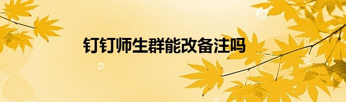 钉钉师生群能改备注吗