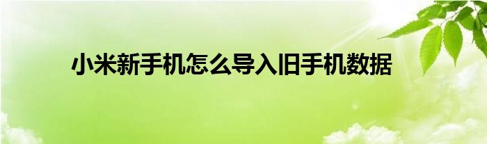 小米新手机怎么导入旧手机数据