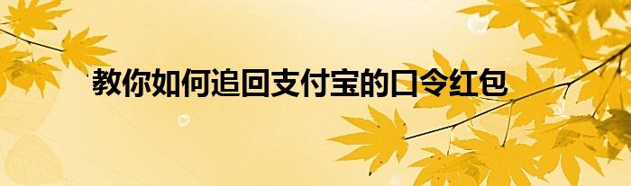 教你如何追回支付宝的口令红包