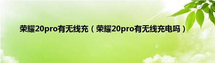 荣耀20pro有无线充（荣耀20pro有无线充电吗）