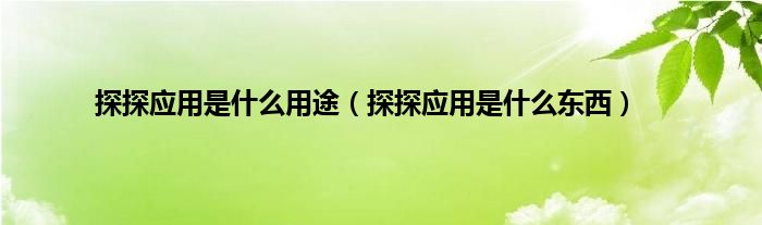 探探应用是什么用途（探探应用是什么东西）