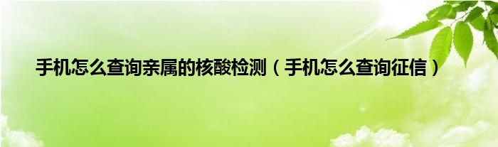 手机怎么查询亲属的核酸检测（手机怎么查询征信）