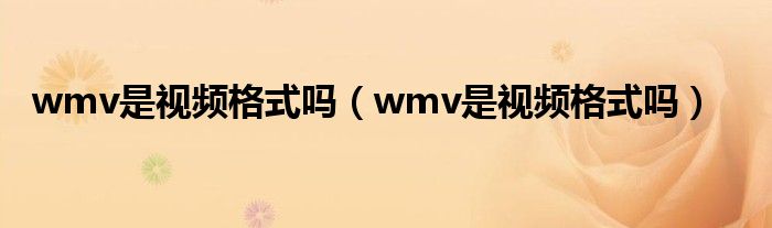 wmv是视频格式吗（wmv是视频格式吗）