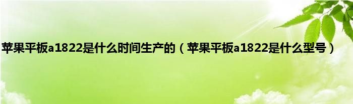 苹果平板a1822是什么时间生产的（苹果平板a1822是什么型号）