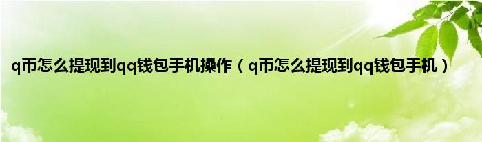 q币怎么提现到qq钱包手机操作（q币怎么提现到qq钱包手机）