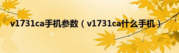 v1731ca手机参数（v1731ca什么手机）