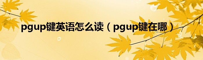 pgup键英语怎么读（pgup键在哪）