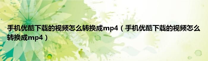 手机优酷下载的视频怎么转换成mp4（手机优酷下载的视频怎么转换成mp4）