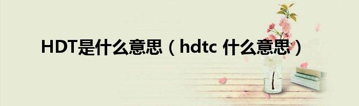 HDT是什么意思（hdtc 什么意思）