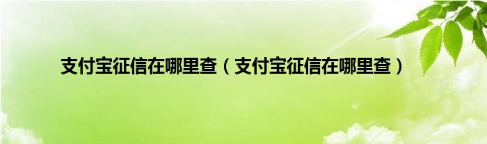 支付宝征信在哪里查（支付宝征信在哪里查）