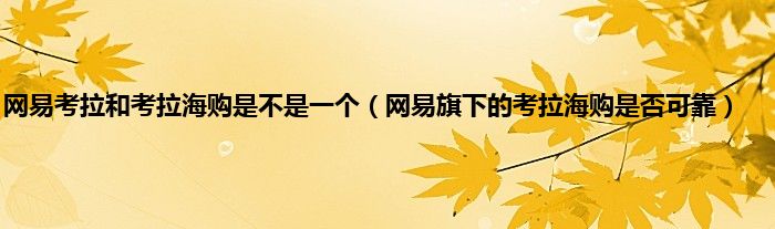 网易考拉和考拉海购是不是一个（网易旗下的考拉海购是否可靠）