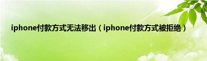 iphone付款方式无法移出（iphone付款方式被拒绝）