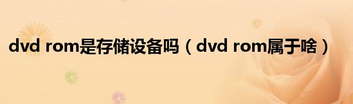 dvd rom是存储设备吗（dvd rom属于啥）