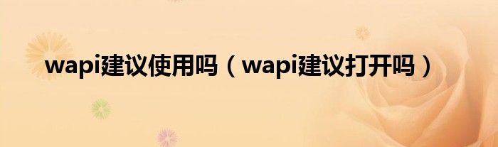 wapi建议使用吗（wapi建议打开吗）