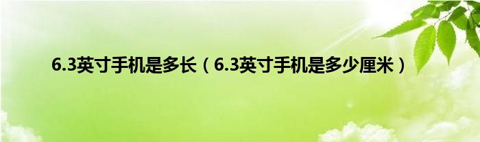 6.3英寸手机是多长（6.3英寸手机是多少厘米）