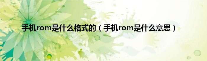 手机rom是什么格式的（手机rom是什么意思）