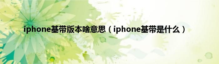 iphone基带版本啥意思（iphone基带是什么）