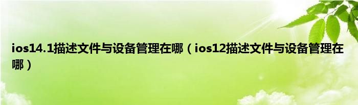 ios14.1描述文件与设备管理在哪（ios12描述文件与设备管理在哪）