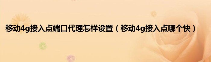 移动4g接入点端口代理怎样设置（移动4g接入点哪个快）