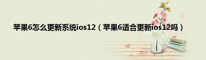 苹果6怎么更新系统ios12（苹果6适合更新ios12吗）