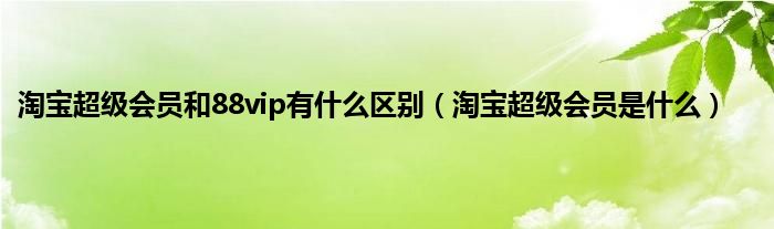 淘宝超级会员和88vip有什么区别（淘宝超级会员是什么）