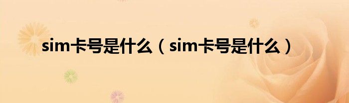 sim卡号是什么（sim卡号是什么）