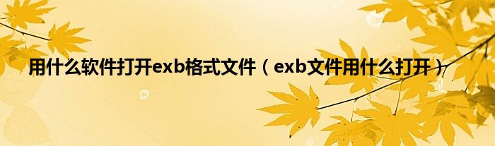 用什么软件打开exb格式文件（exb文件用什么打开）