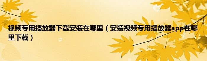 视频专用播放器下载安装在哪里（安装视频专用播放器app在哪里下载）