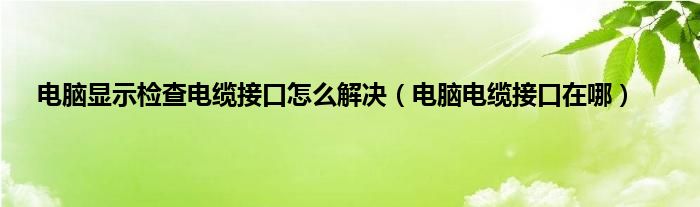 电脑显示检查电缆接口怎么解决（电脑电缆接口在哪）