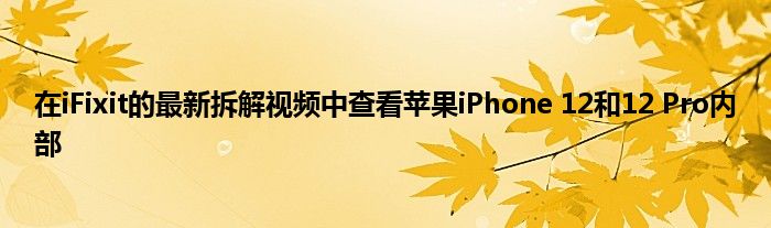 在iFixit的最新拆解视频中查看苹果iPhone 12和12 Pro内部