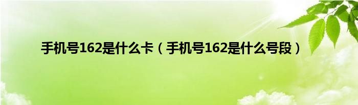 手机号162是什么卡（手机号162是什么号段）