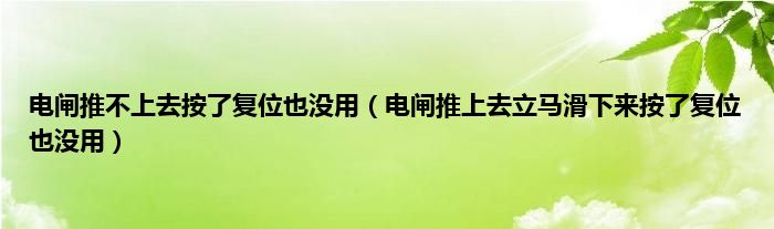 电闸推不上去按了复位也没用（电闸推上去立马滑下来按了复位也没用）